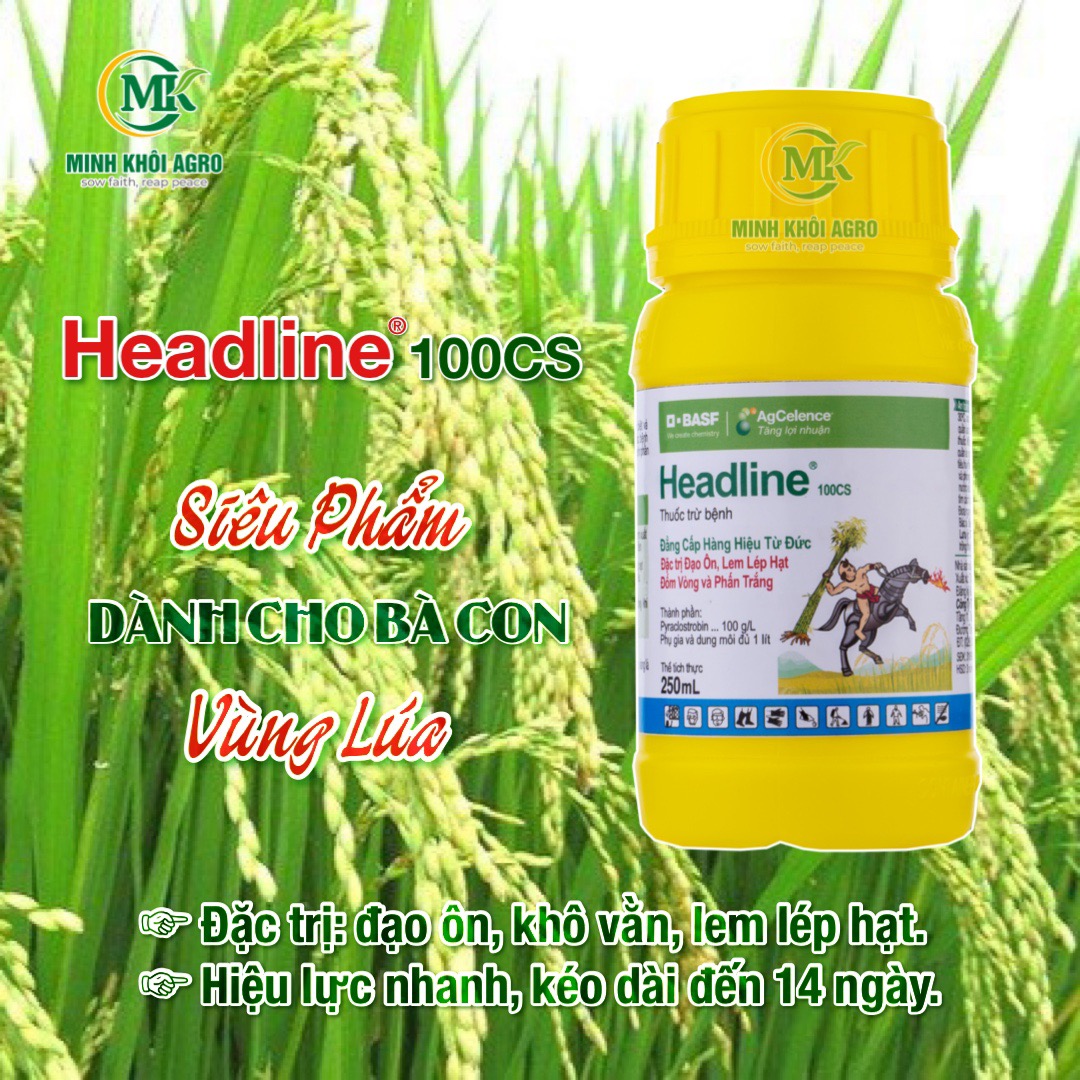 Thuốc trừ bệnh Headline 100CS - Chai 250ml